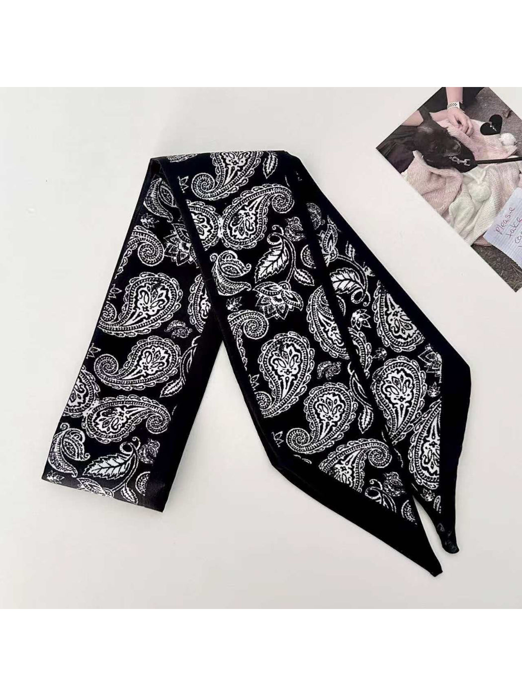 Scarvii Modern Paisley Skinny Scarf