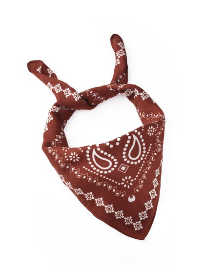 Scarvii - Fashionable Paisley Square Scarf