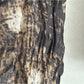 Scarvii - Vintage Crinkle Textured Scarf Wrap - Autumn-Winter Style