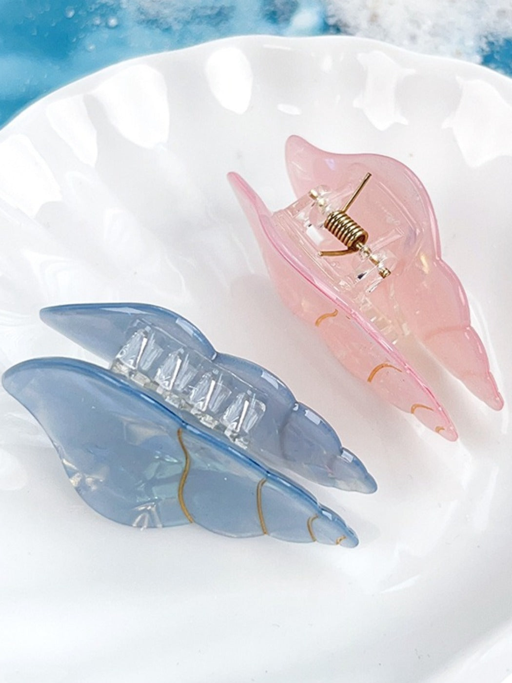 Clio - Acrylic Conch-Shaped Hair Clips - Sweet & Cute