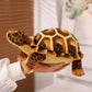 Kawai - Cute Turtle Plush Toy
