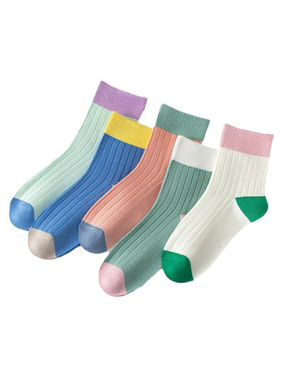 Rufia - Simple Colorblock Ribbed Casual Crew Socks