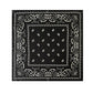 Scarvii - Vintage Paisley Scarf - A stylish and versatile scarf