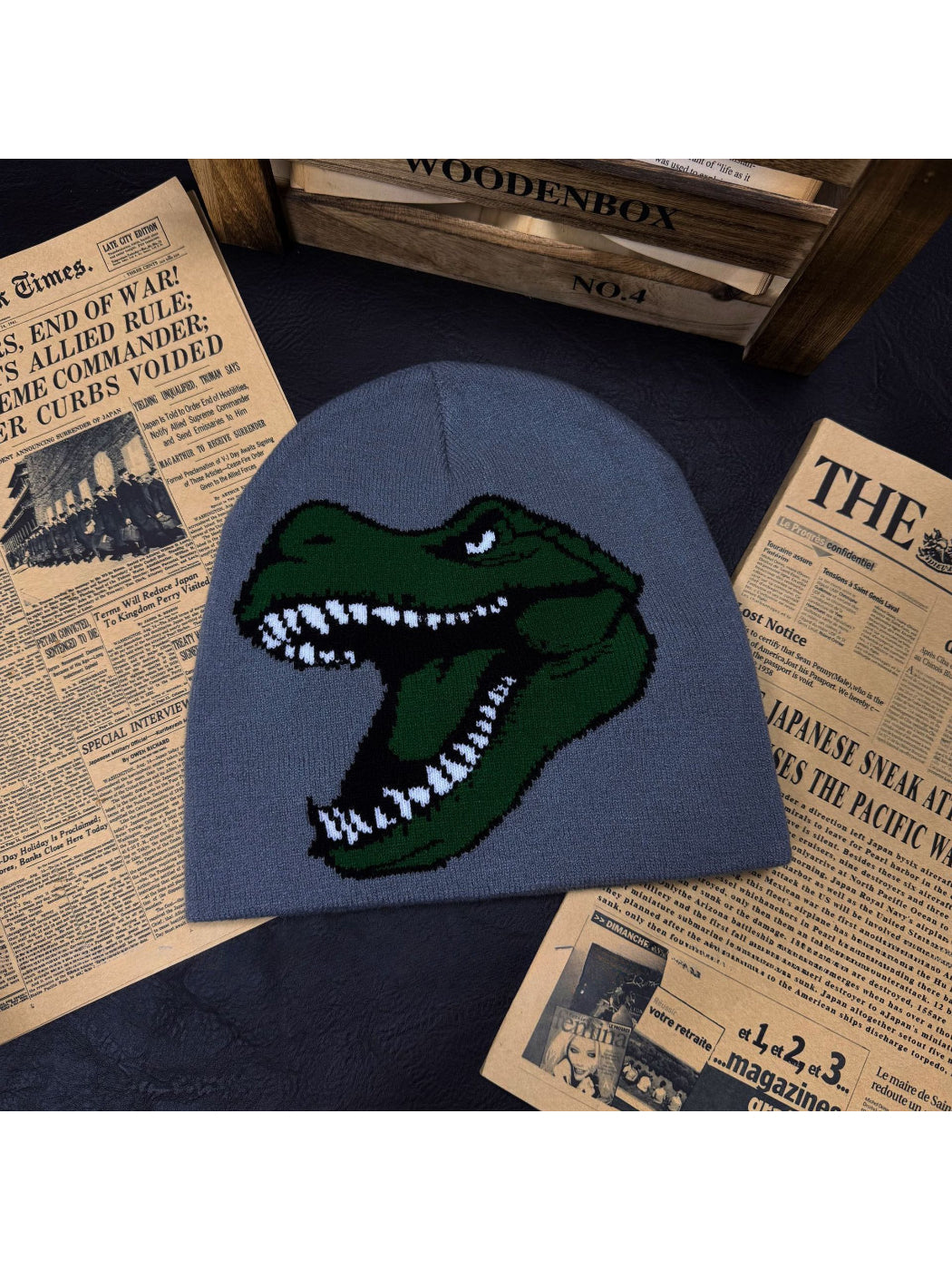 Haila - Dinosaur Graphic Knit Slouchy Beanie