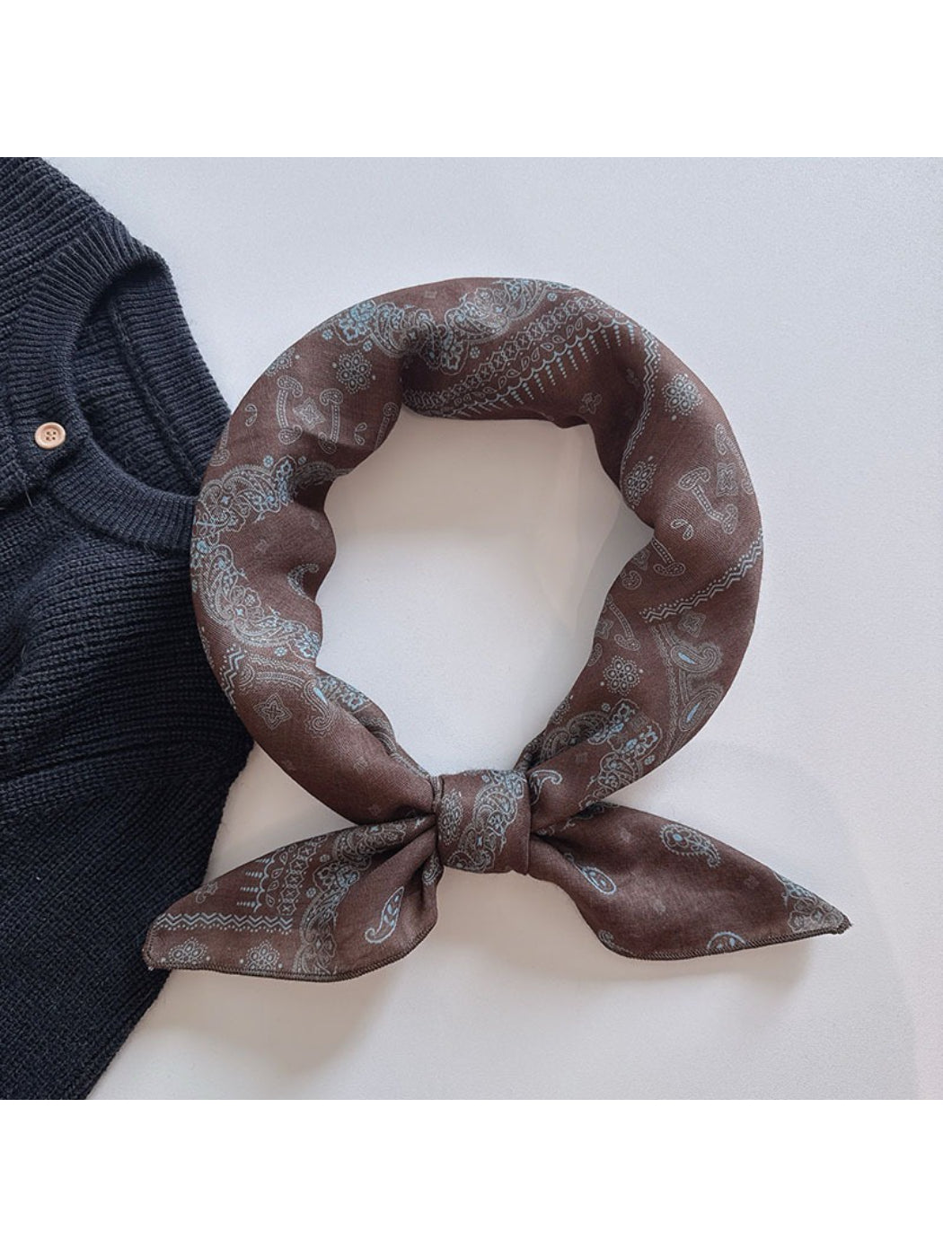 Scarvii - Vintage Paisley Accent Scarf