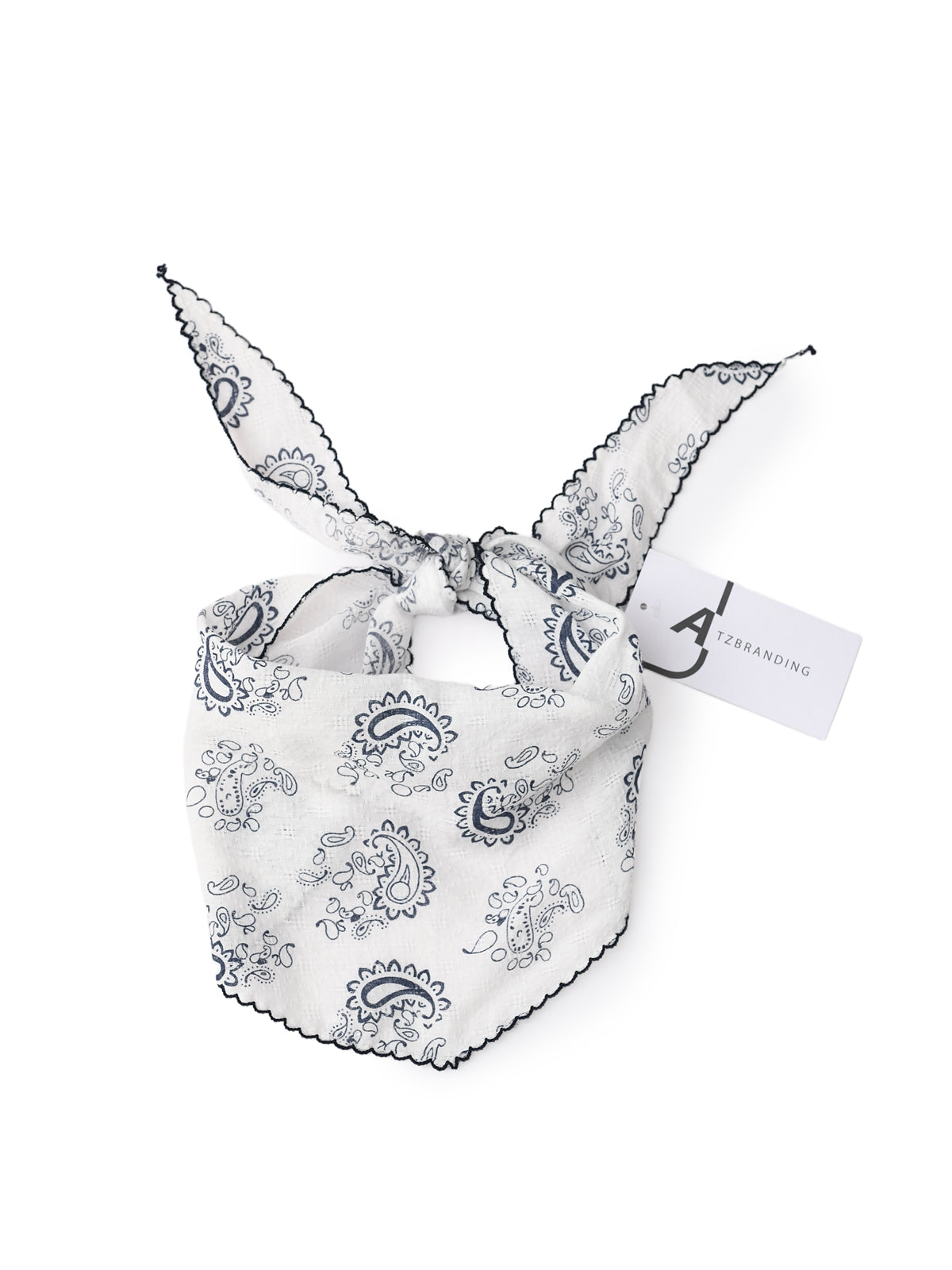 Scarvii - Paisley Print Triangle Scarf with Lace Edge
