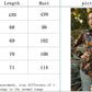 Crosa - Western Print Long Sleeve Shirt - Urban Cowgirl