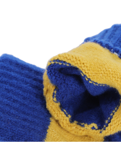 Close-up of the blue inner surface and yellow-edged opening