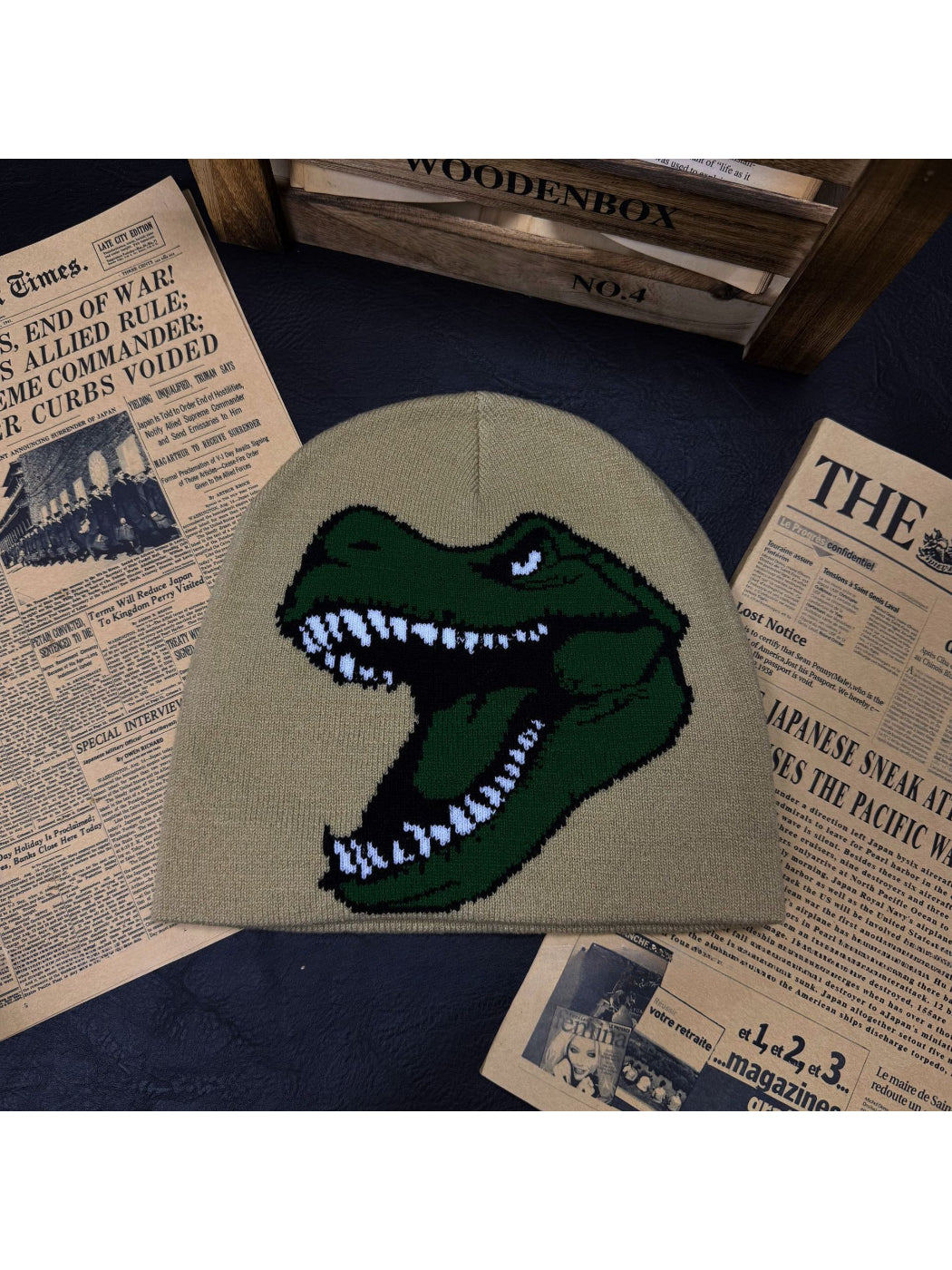 Haila - Dinosaur Graphic Knit Slouchy Beanie